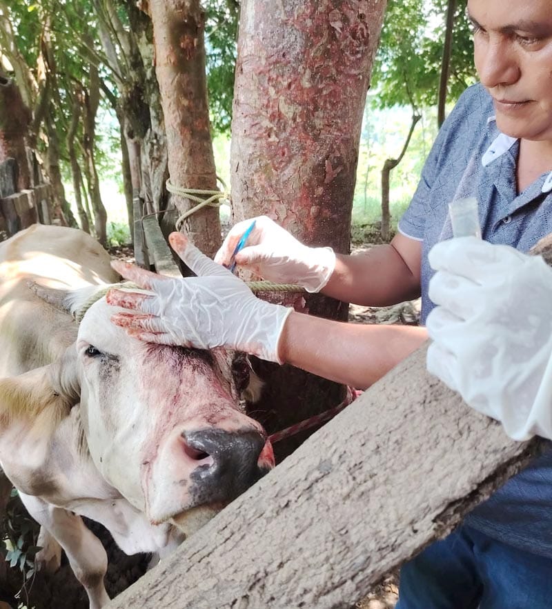 ¡TIJERETAZO! - PA’SUMECHA
