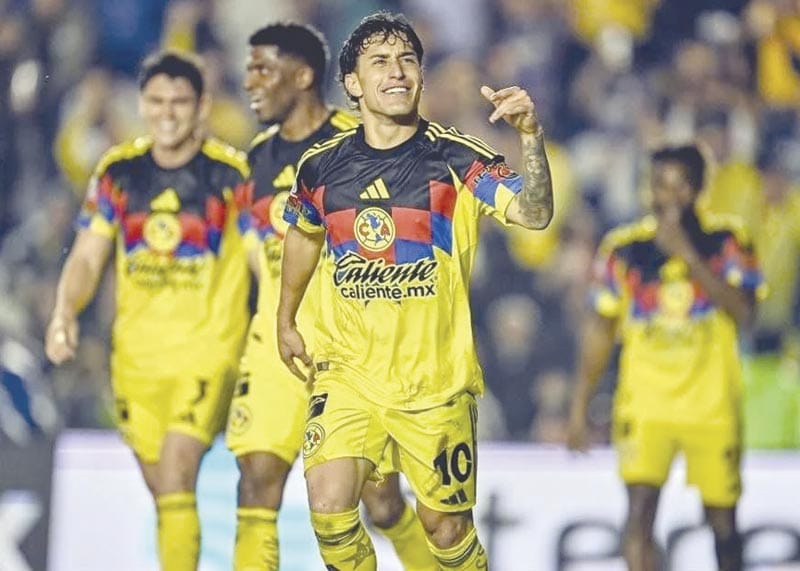 ¡TRISTE REALIDAD! -DE LOS PUMAS…