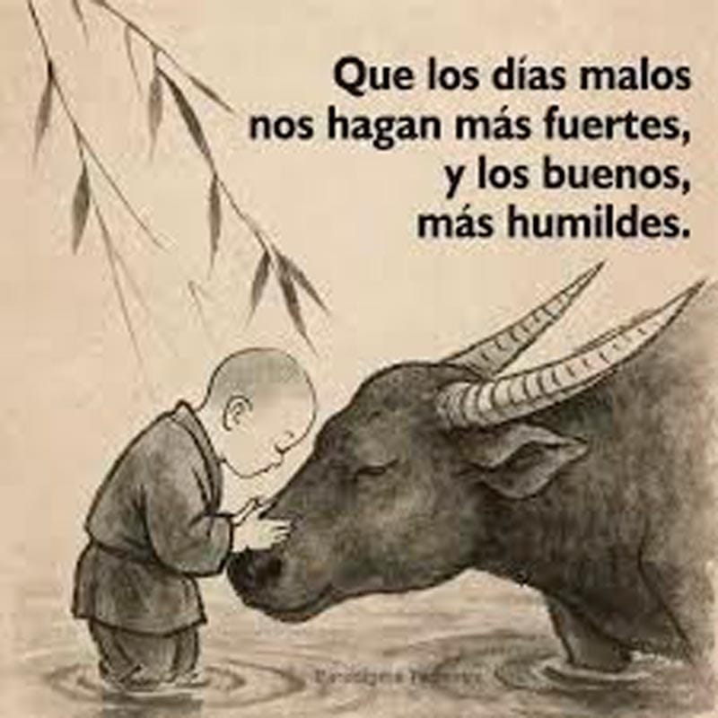 VIVIENDO CON SENTIDO | LA INDIFERENCIA - La cualidad más atractiva en un hombre no es su apariencia, ni el dinero que tiene, ni la labia con la que intenta impresionar. La verdadera cualidad...