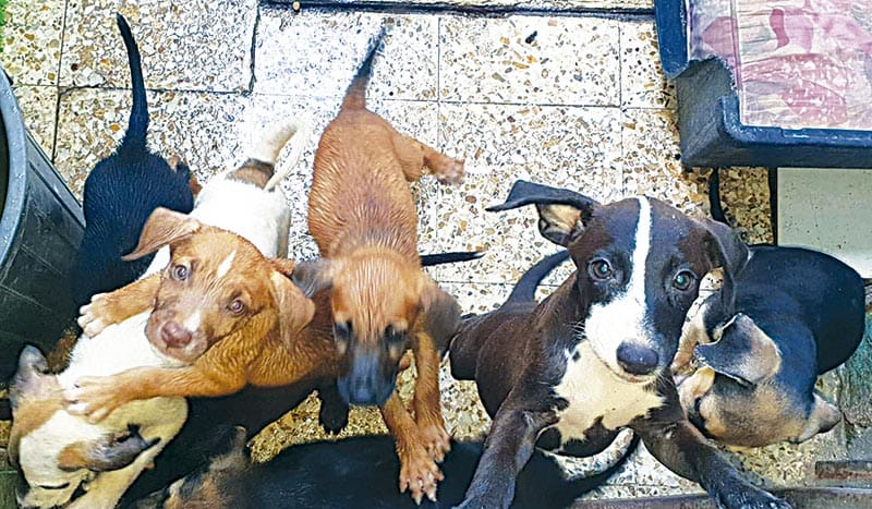 ¡VENDEN EL ALBERGUE LA ROCA!