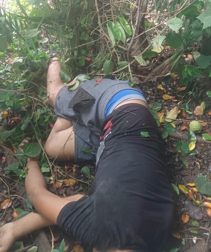 ¡JOVEN MUERE ELECTROCUTADO CUANDO PODABA UN ÁRBOL!