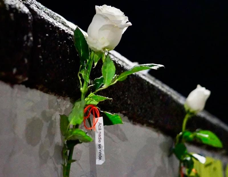 ¡SE LLENA DE FLORES!