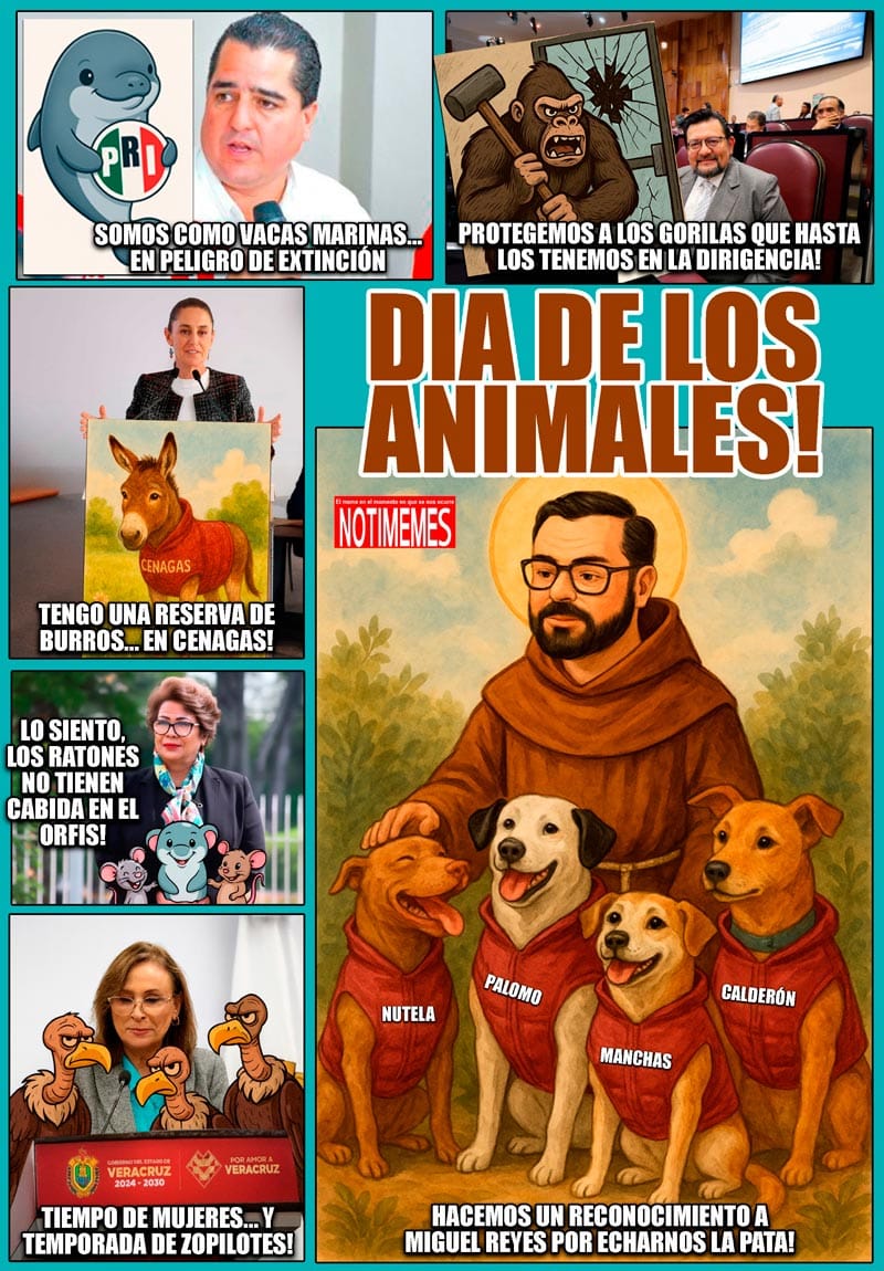 NOTI-MEME | - DÍA DE LOS ANIMALES!