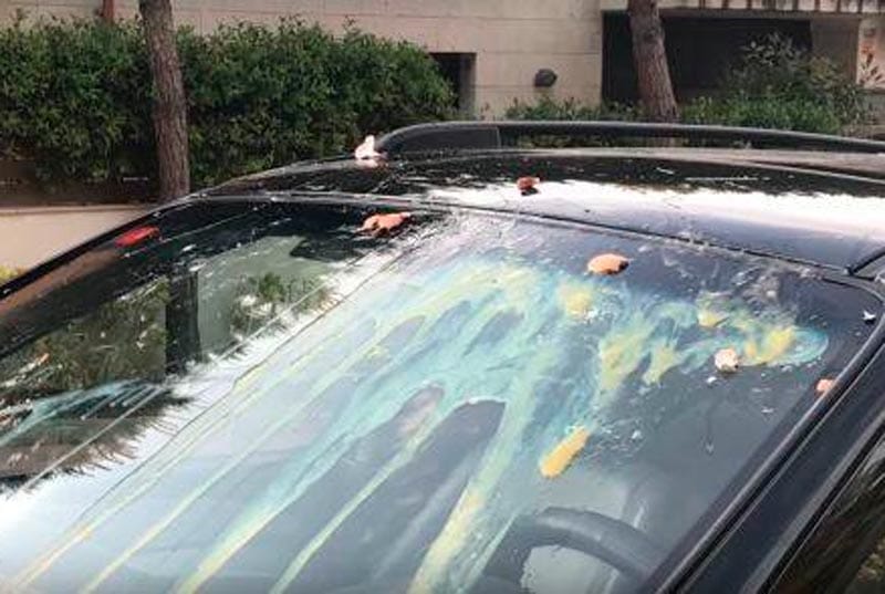 ¡LANZAN HUEVO AL PARABRISAS PARA ROBAR CAMIONETA LAND ROVER!