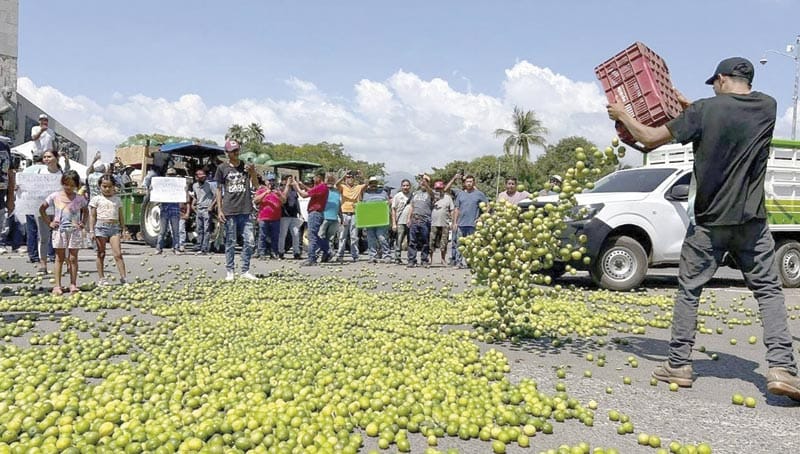 ¡DESDE 2021 SEDENA SABE QUIÉNES EXTORSIONAN A LOS LIMONEROS!