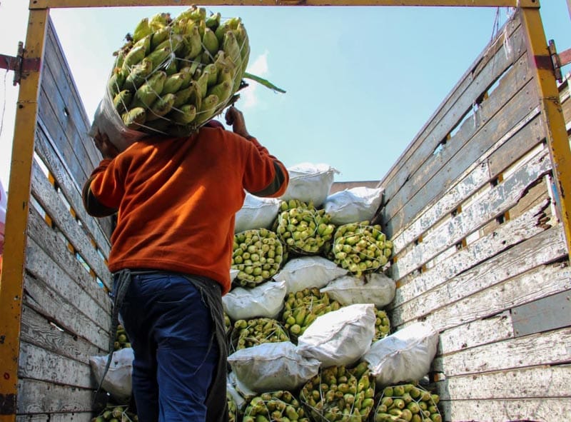 ¡75 DE CADA 100 PESOS! - *Se irán a deuda del país