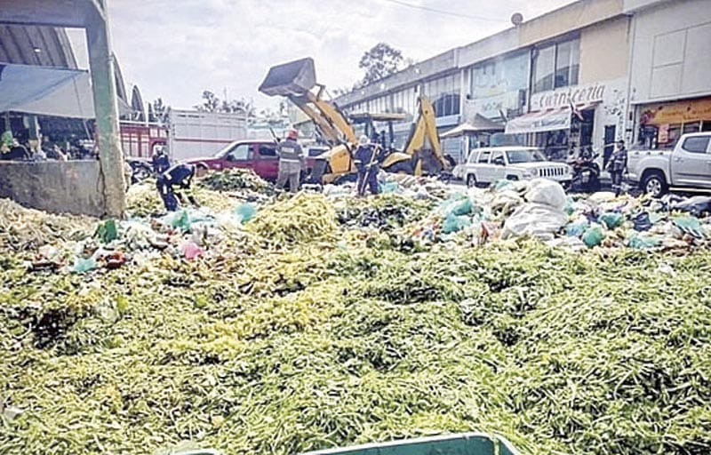 ¡PIERDE MÉXICO 20.4 MILLONES DE TONS. DE ALIMENTOS AL AÑO!