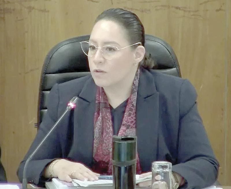 ¡AFIRMAN QUE FACTURERAS EVADIERON 54 MIL 698 MDP DESDE 2022!