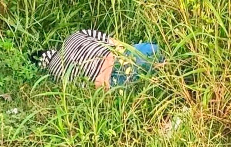 ¡LOCALIZAN A UN HOMBRE EJECUTADO EN LA CARRETERA!