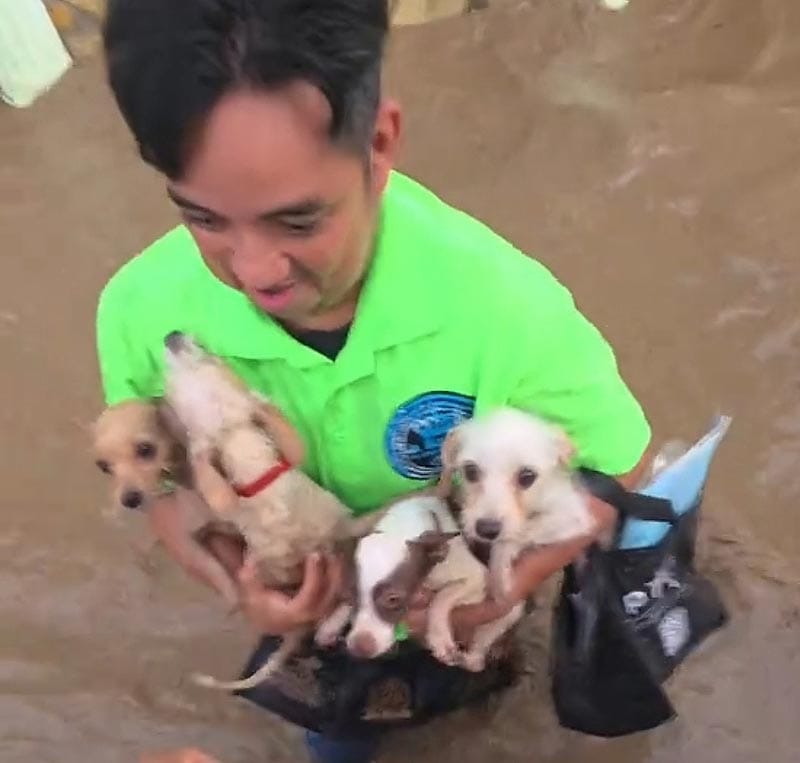 ¡OPERACIÓN RESCATE! - EN POZA RICA