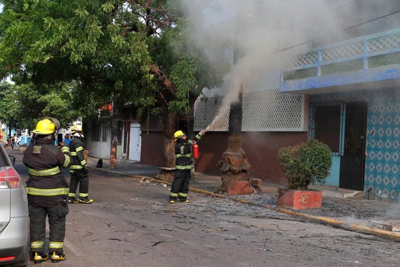 ¡“CHANGOLEÓN” LE PRENDE FUEGO A PALMERA, CABLES Y UNA MOTO!