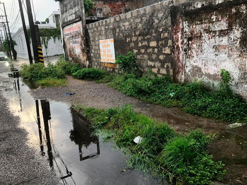 ¡ABUELITA CASI PIERDE UN OJO EN PREDIO ABANDONADO DEL ADO!