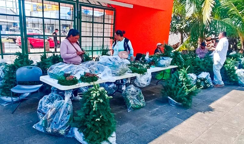 ¡TRAEN ARBOLITOS DE NAVIDAD Y CORONAS DE ADVIENTO!