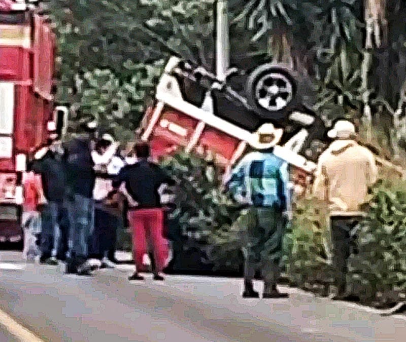 ¡APARATOSA VOLCADURA DE CAMIONETA CARGADA CON COCHINITOS!