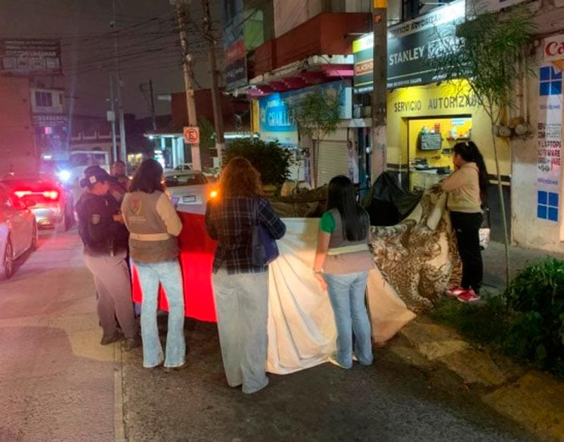 ¡MUJER CAMINABA DESNUDA POR UN PRESUNTO BROTE PSICÓTICO!