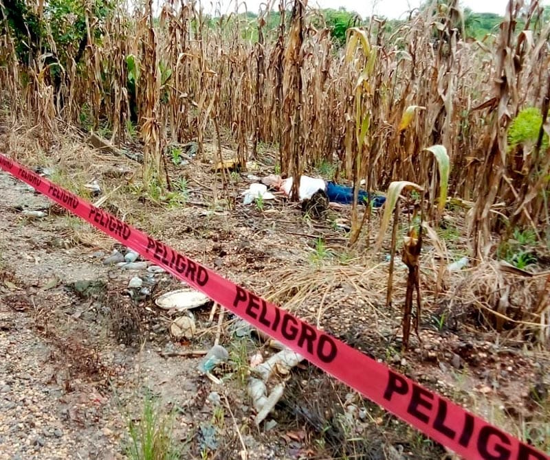 ¡EX ALCALDE APARECIO DEGOLLADO! - SUS PLAGIARIOS LO DEJARON EN UNA MILPA EN EL MUNICIPIO DE OTEAPAN