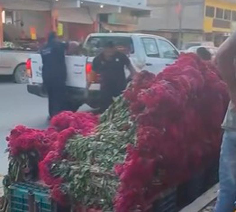 ¡CEMPASÚCHIL-GATE! - LO QUE FALTABA