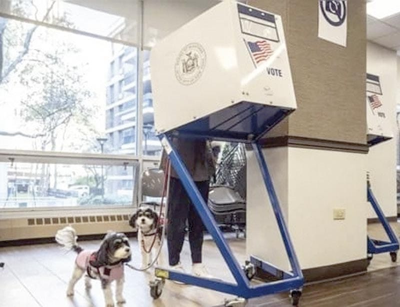 ¿QUÉ SE VOTA DURANTE LAS ELECCIONES ESTATALES EN EU?