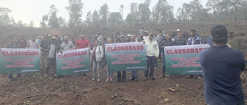¡AHORA EL NARCO SENTENCIA A MUERTE A AMBIENTALISTAS DE MICHOACÁN!