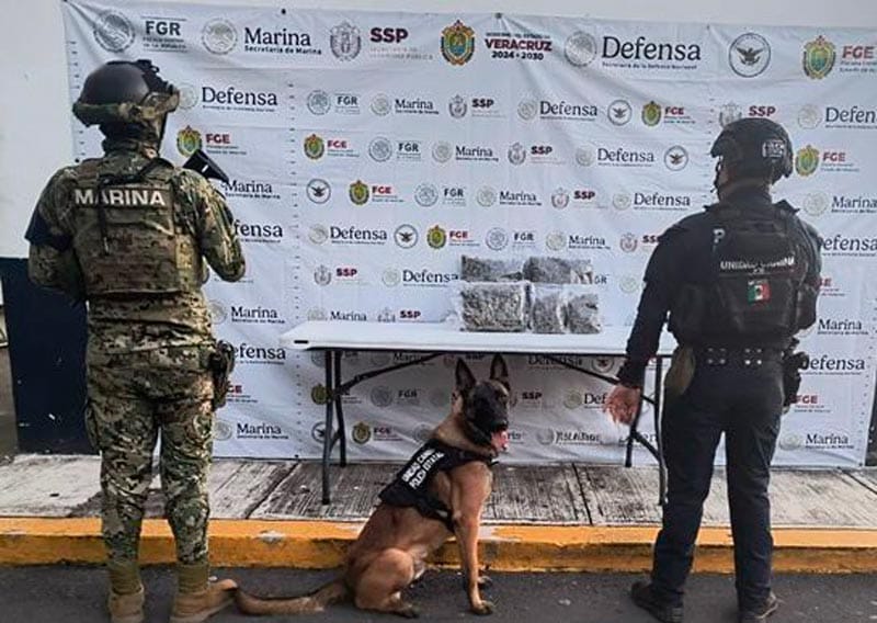 ¡DECOMISA SSP 116 DOSIS DE ESTUPEFACIENTES Y DETUVO A 20 DELINCUENTES! - EN VARIOS OPERATIVOS EN 20 MUNICIPIOS DEL ESTADO