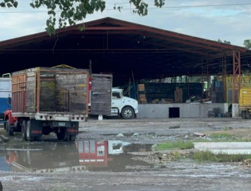 ¡MATAN A CORTADOR DE CÍTRICOS EN ÁLAMO!