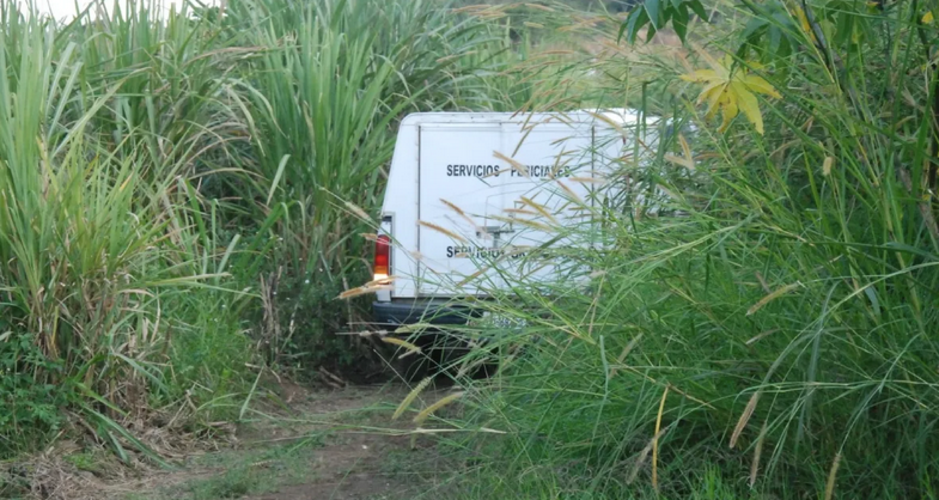 ¡HALLAN PERSONA SIN VIDA EN PARCELA DE CHILTOYAC!