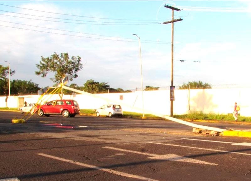 ¡CAFRE DERRIBA LUMINARIA Y SE DIO A LA FUGA!