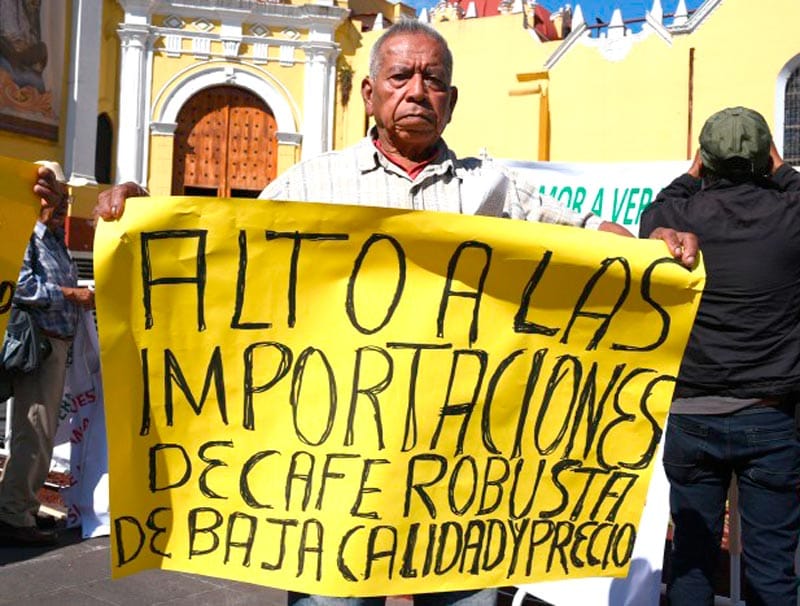 ¡DENUNCIAN “EXTERMINIO” DEL CAFÉ DE CALIDAD!