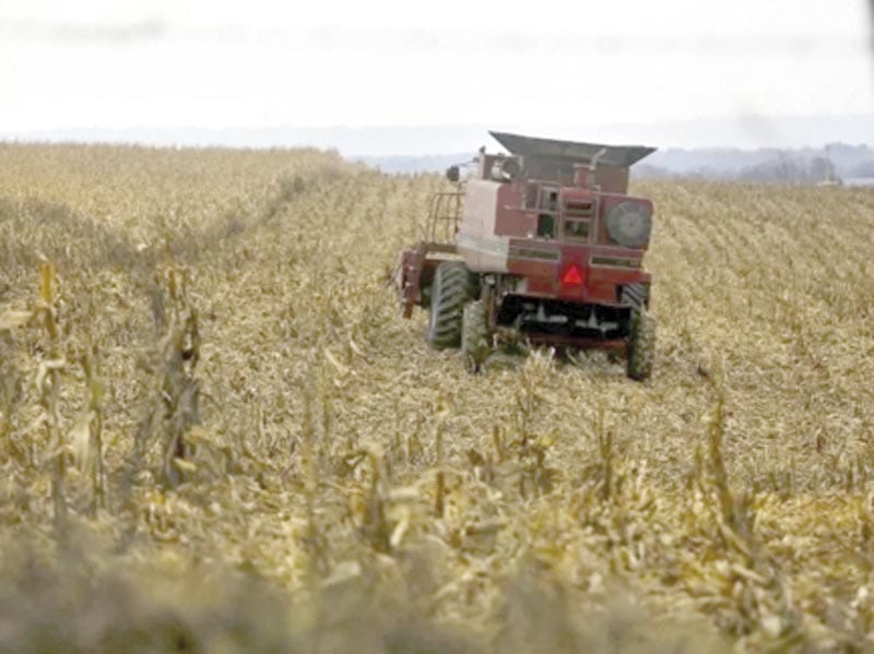 ¡DARÍA EU 12 MMDD A AGRICULTORES AFECTADOS POR ARANCELES!