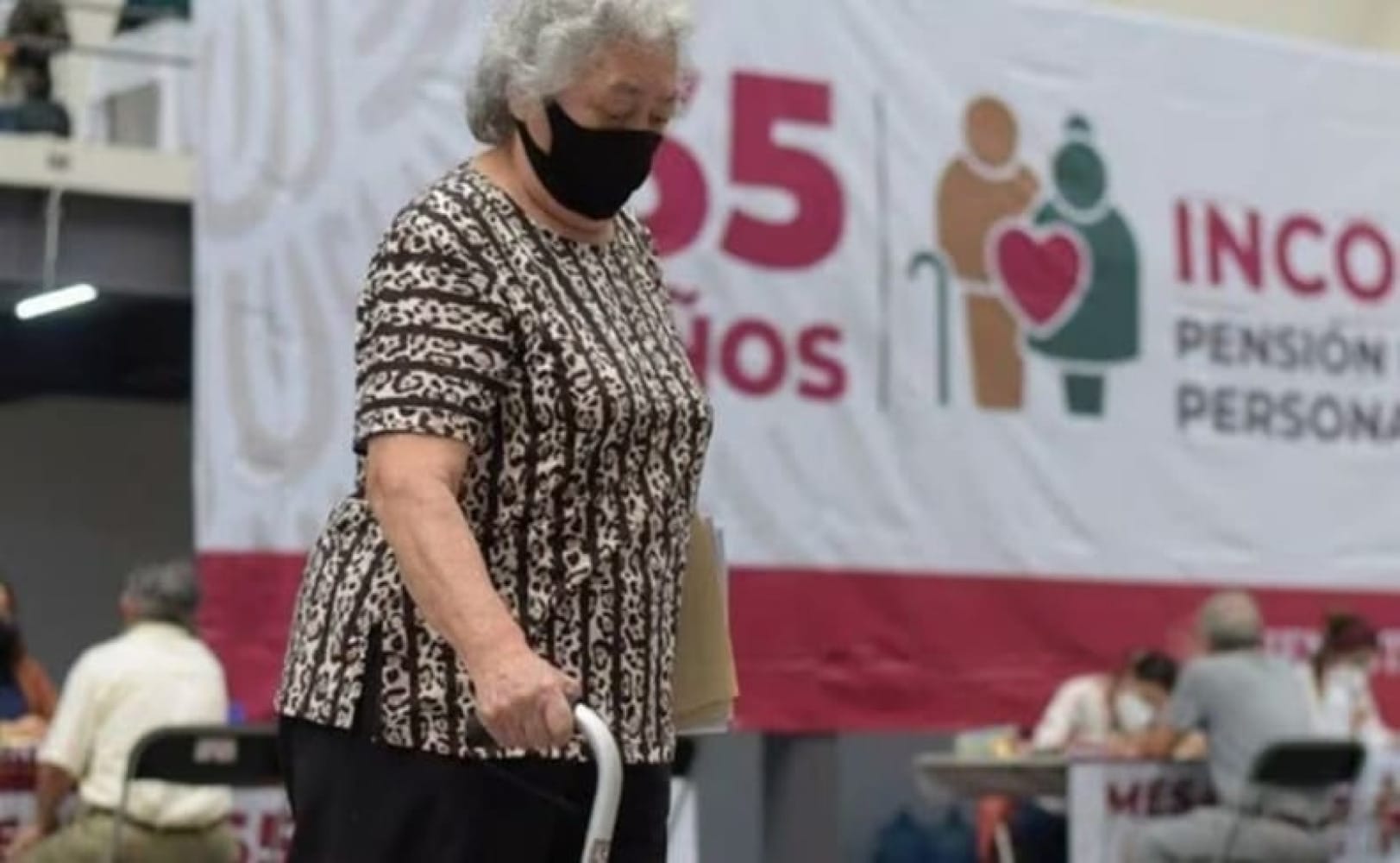 ¡PVEM PROPONE CÁRCEL A QUIENES GASTEN, SIN CONSENTIMIENTO, PENSIÓN DEL BIENESTAR DE PADRES O ABUELOS!