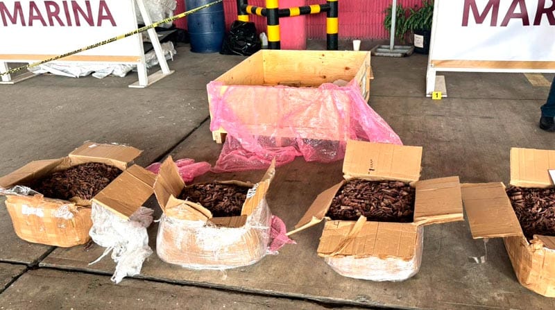 ¡MARINOS ASEGURARON 100 KILOS DE PSICODÉLICOS EN EL RECINTO PORTUARIO!