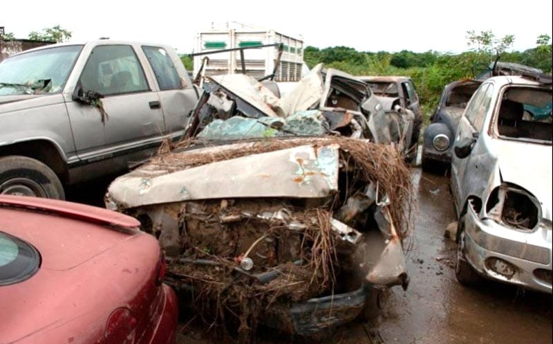 ¡LOS ANDAN BUSCANDO!