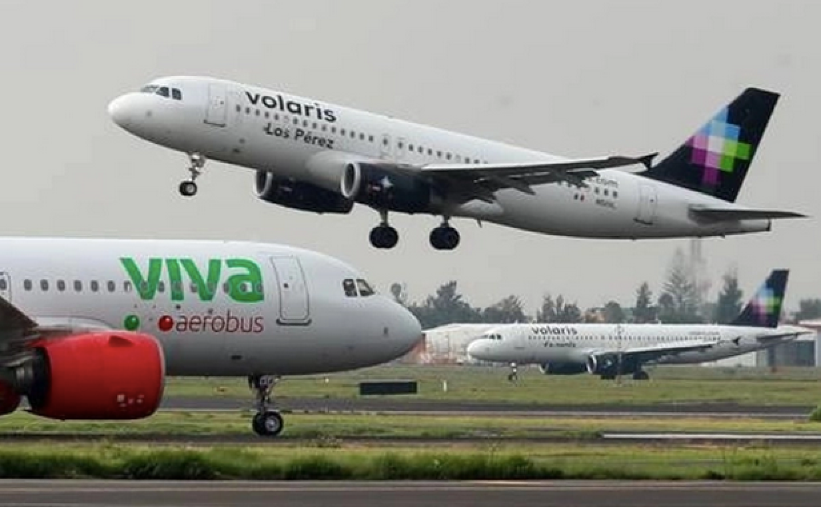 ¡TEMEN AUMENTO EN TARIFAS POR LA FUSIÓN DE VOLARIS Y VIVA!