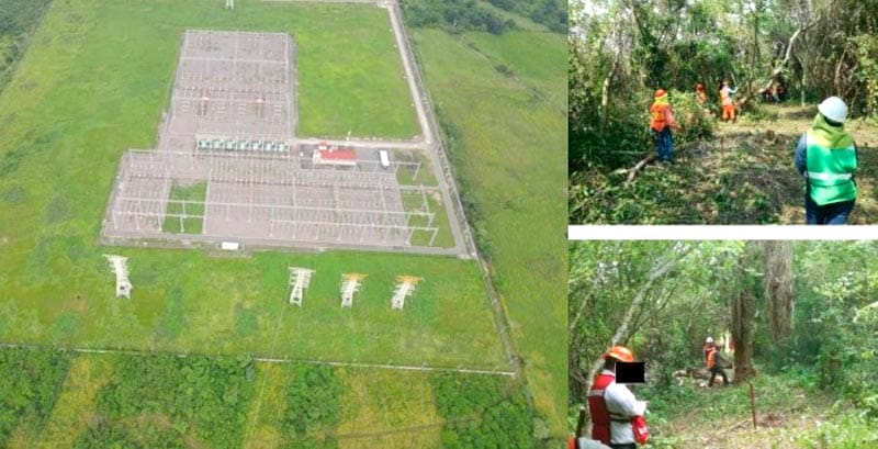 ¡PAGA CONSTELLATION BRANDS 1.1 MDP POR DERRIBO DE ÁRBOLES!