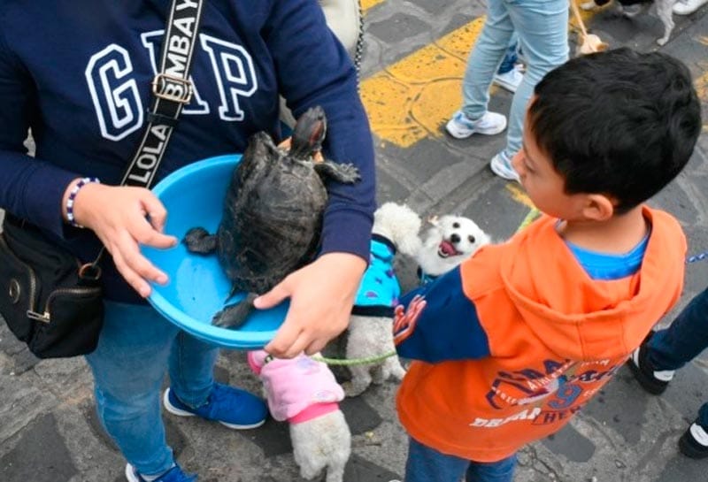 ¡PROCESIÓN EN HONOR A SAN ANTONIO!