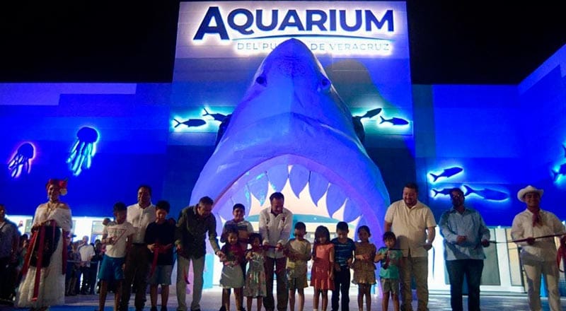 ¡LE FALTA MANTENIMIENTO! - * Por eso la inversión histórica al Acuario  de 2024 y los Chillers