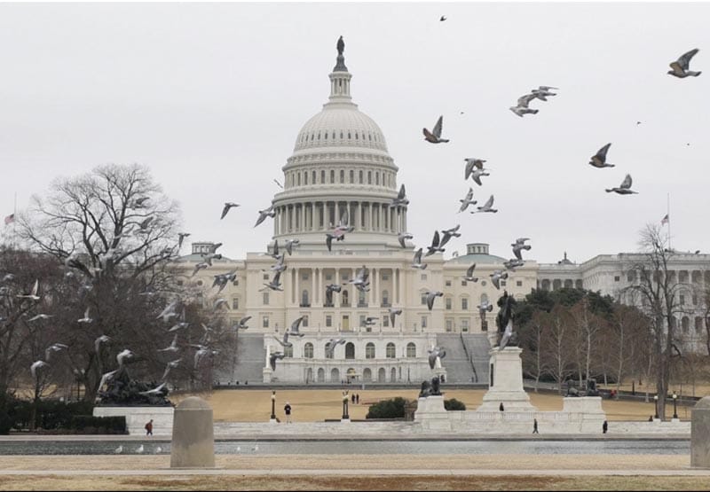 ¡DEMÓCRATAS DE EU IMPULSAN LEY PARA EVITAR GUERRA CONTRA MÉXICO!