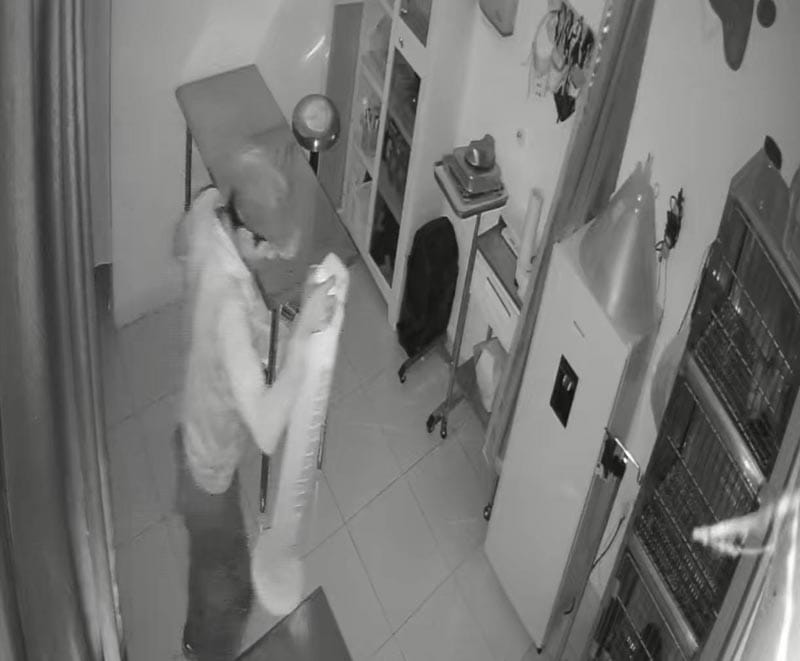 ¡ROBAN VETERINARIA DEDICADA AL RESCATE DE ANIMALES!