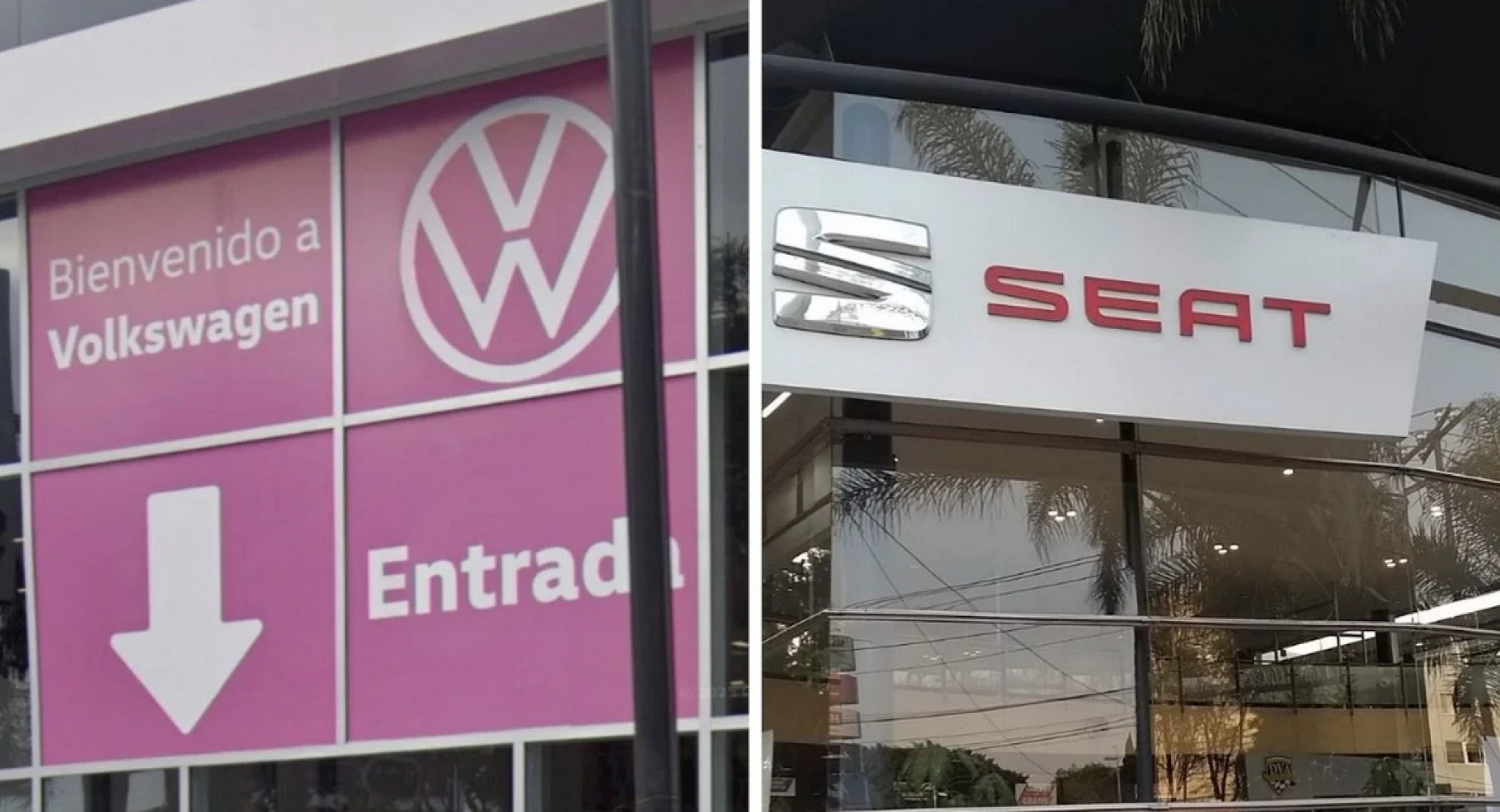 ¡PROFECO ALERTA POR FALLA EN MÁS DE 38 MIL VEHÍCULOS SEAT Y VOLKSWAGEN!