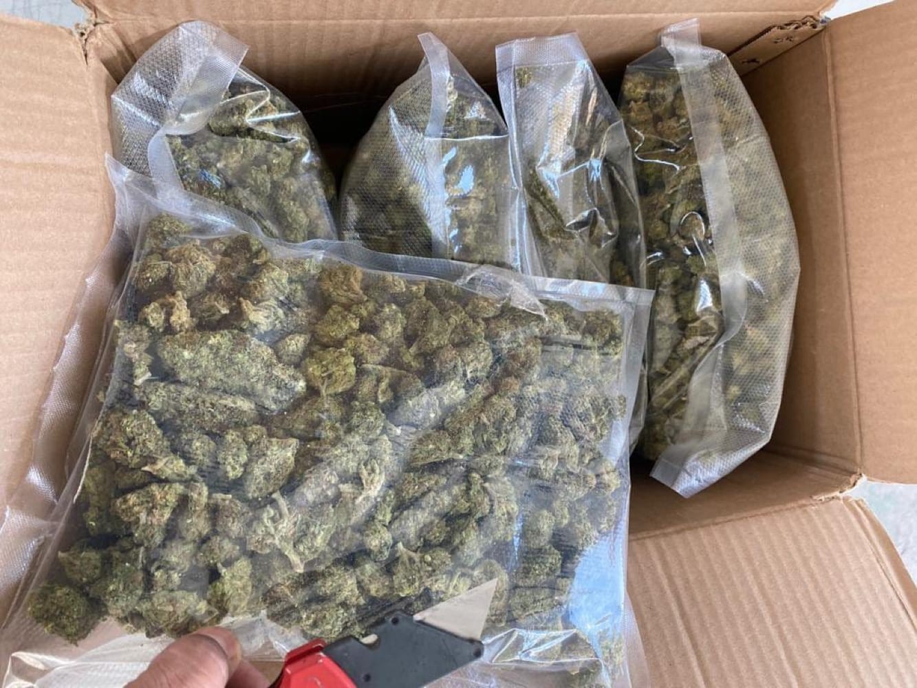 ¡ASEGURAN 750 GRAMOS DE MARIHUANA EN PAQUETERÍA ESTAFETA!