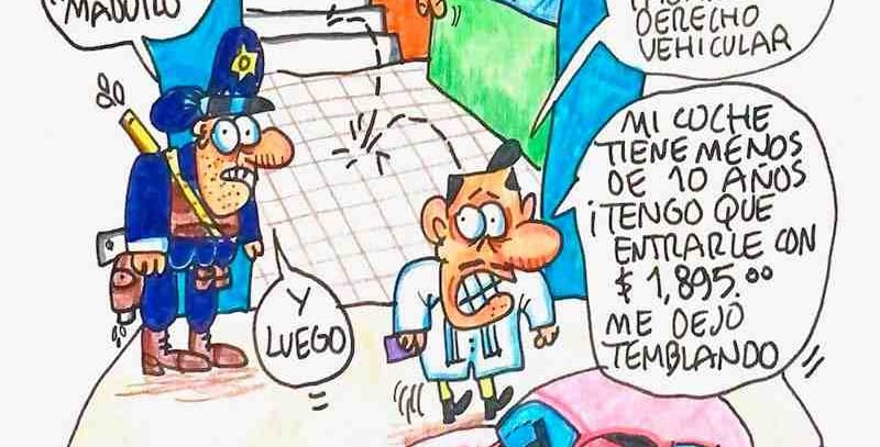 LOS CARTONES