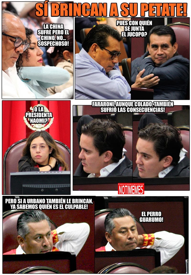 NOTI-MEME | - SÍ BRINCAN A SU PETATE!