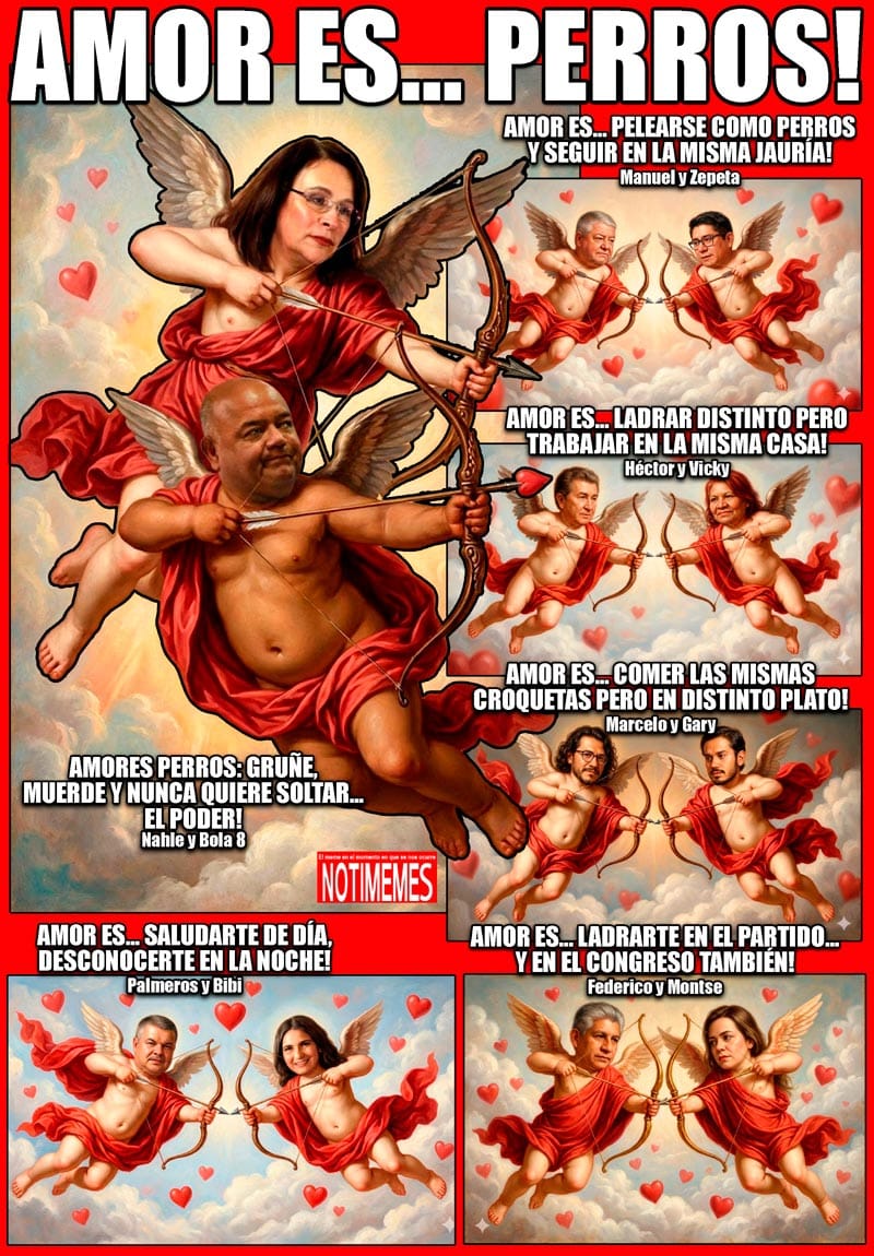 NOTI-MEME | - AMOR ES... PERRROS!
