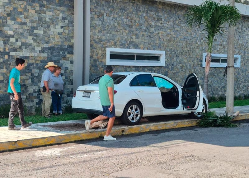 ¡AUTO SE PEGA “PALMERAZO”!