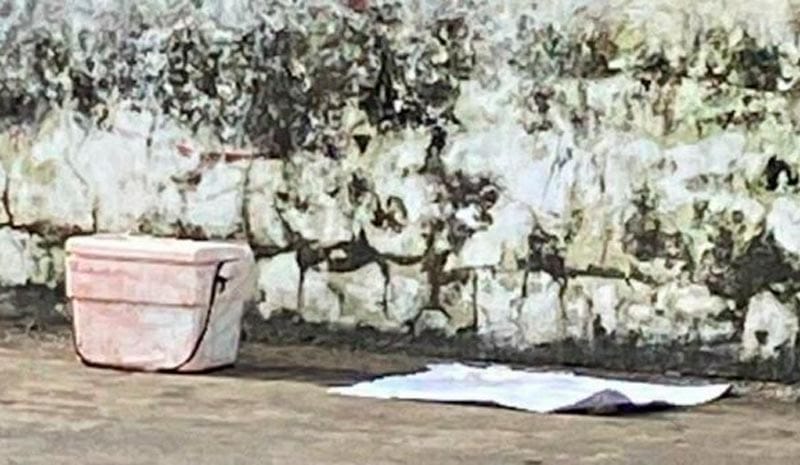 ¡MÁS NEVERAS CON RESTOS HUMANOS EN ANGEL R. CABADA Y LERDO DE TEJADA!