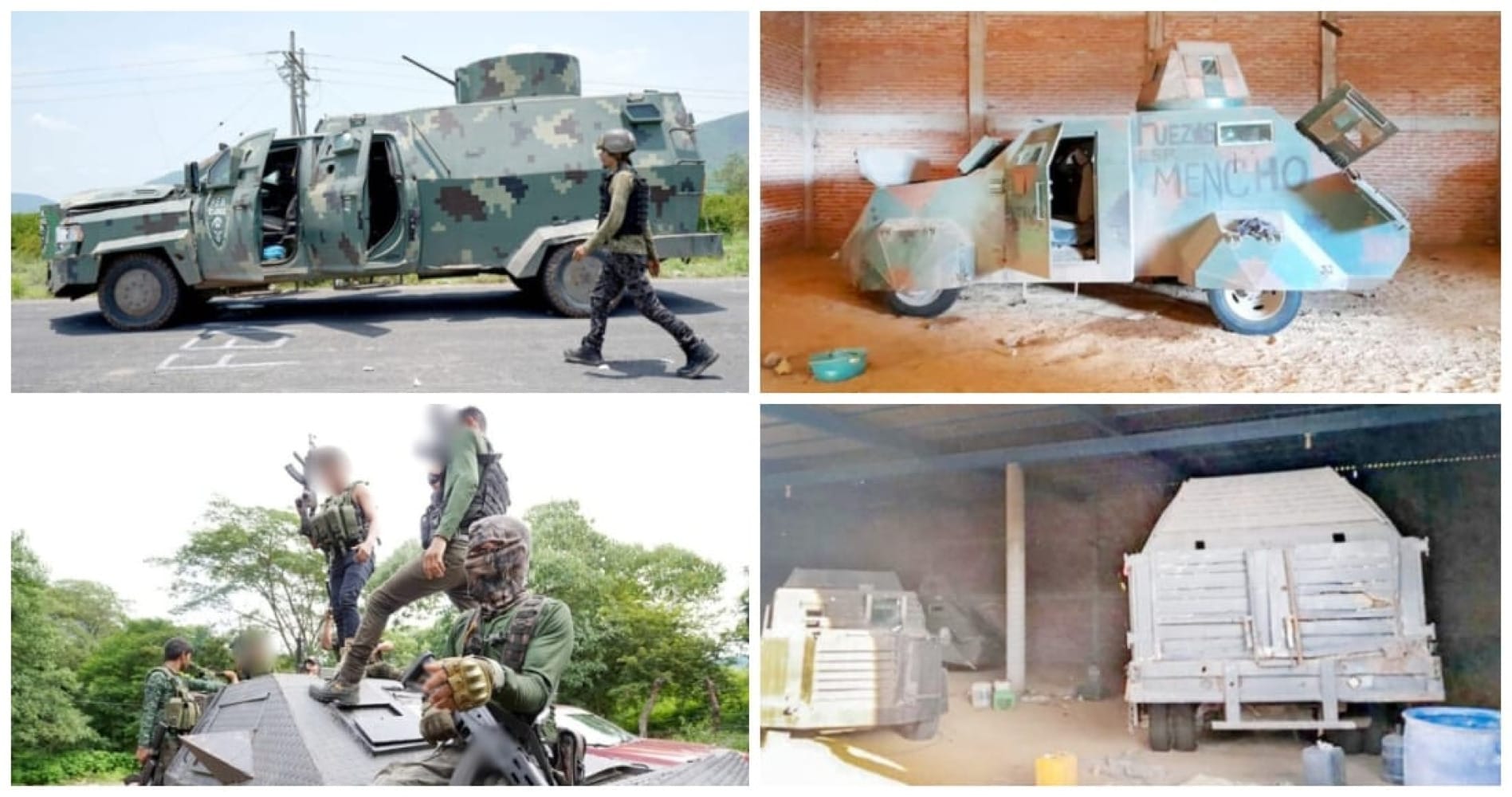 ¡DECOMISAN 600 “MONSTRUOS”, Y NADIE SABE, NADIE SUPO!