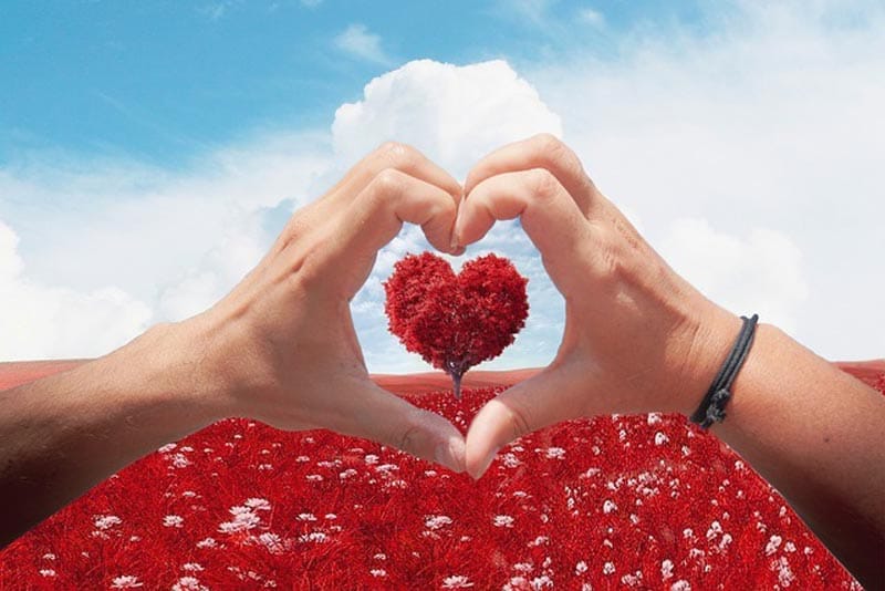 ¿POR QUE SE CELEBRA EL 14 DE FEBRERO?