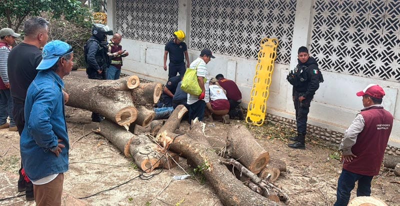 ¡TRABAJADOR DEL AYUNTAMIENTO GOLPEADO EN LA CABEZA POR RAMA!
