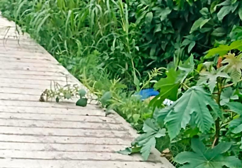 ¡"SIEMBRAN" HOMBRE EJECUTADO EN PAPANTLA!