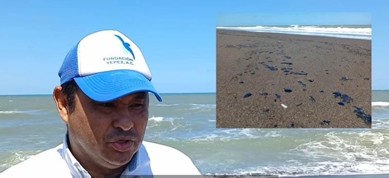 ¡ES UN ECOCIDIO! - FOCOS ROJOS